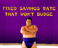 HSBC- Flash Video