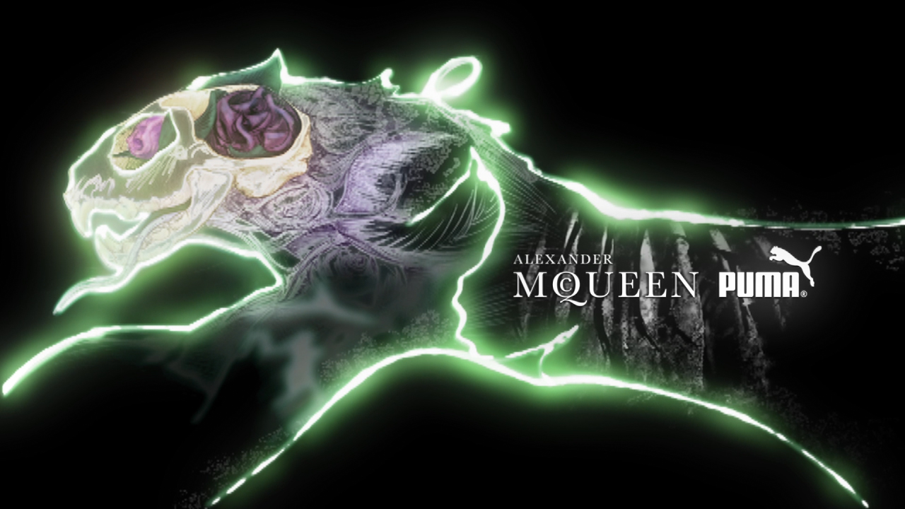 Alexander McQueen Puma Autumn 2007 Flowercat artwork