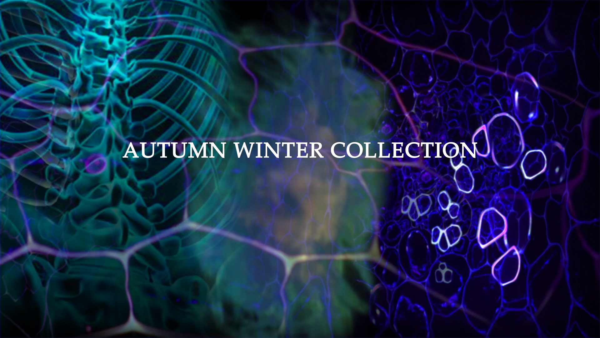 Alexander McQueen Puma Autumn 2008 promo film still