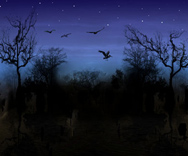 Dark Swamp