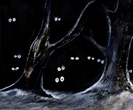 Creatures of the Forrest